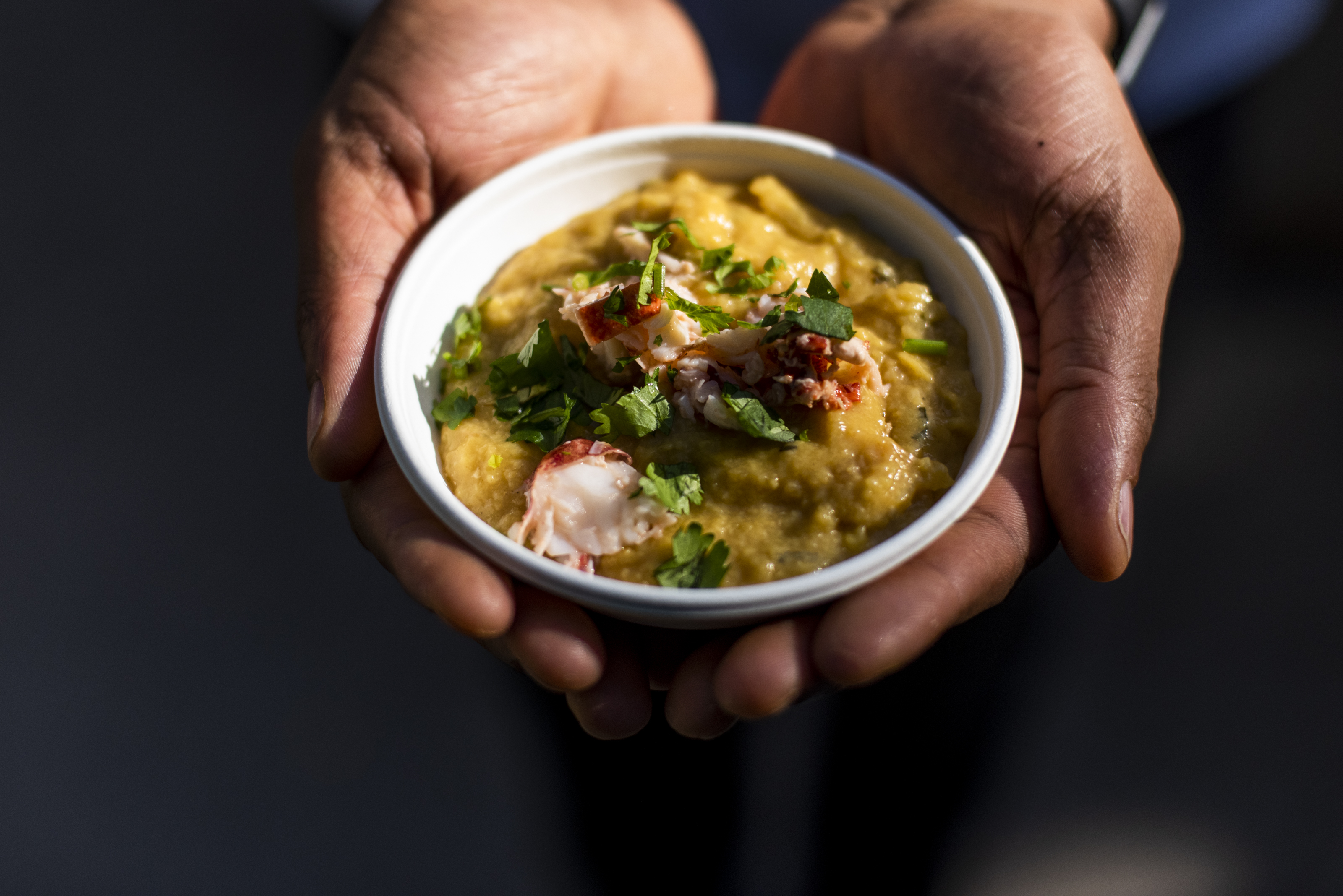 Neste festival, pode conhecer os restaurantes do Alentejo e do Ribatejo que têm o selo Michelin