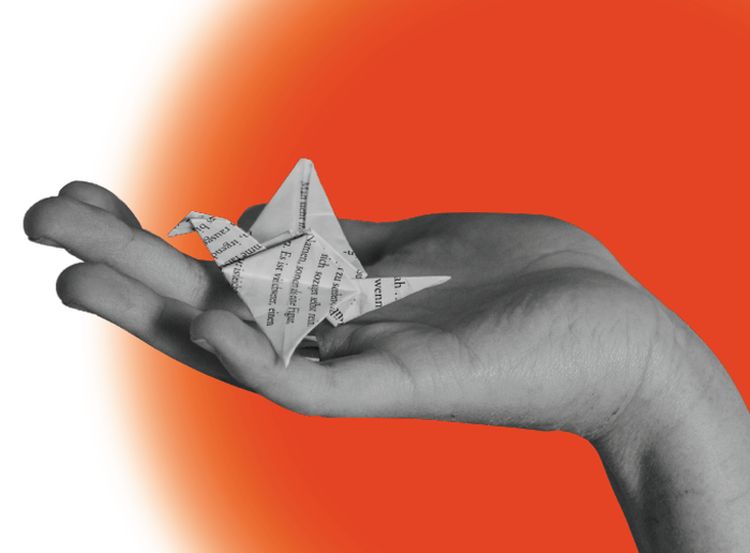 Programa de mentoria da Universidade de Coimbra quer reter mulheres na informática