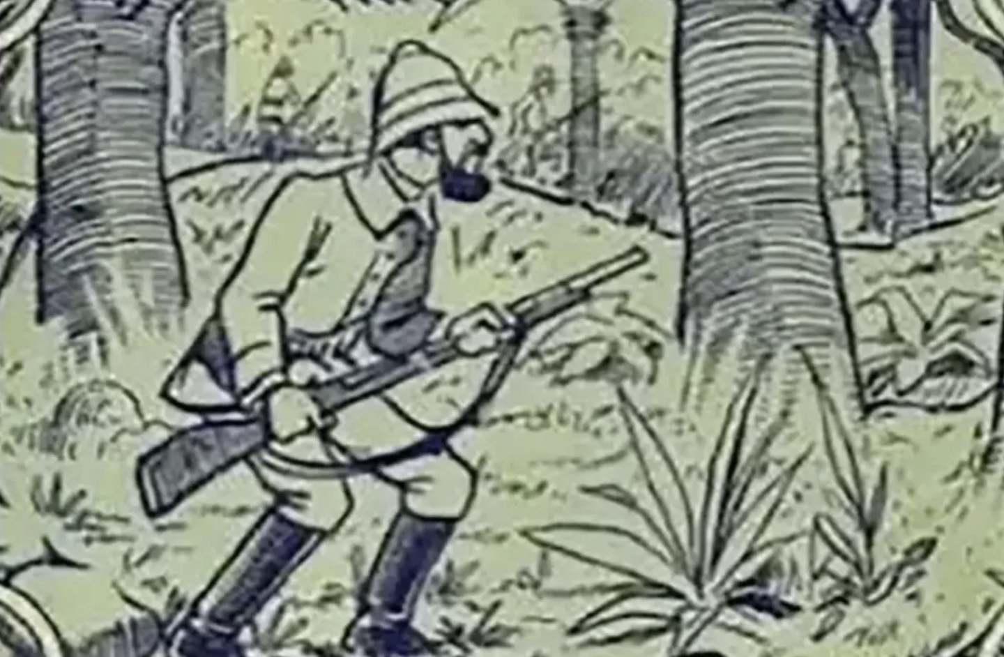 Só 1% das pessoas consegue encontrar um elefante nesta imagem. Faça o teste (nós damos umas pistas)