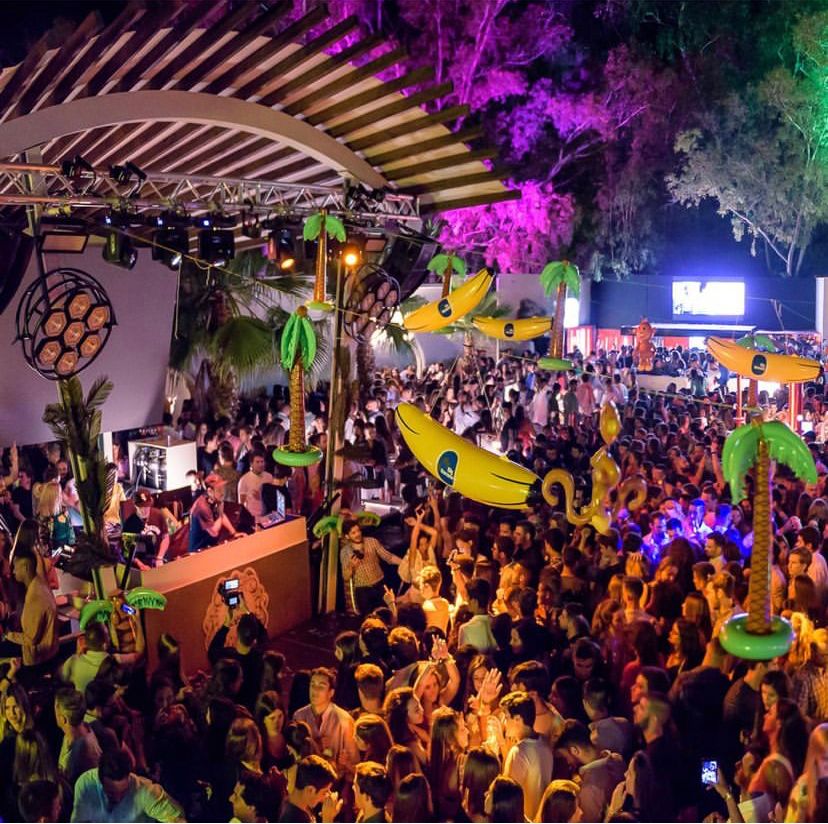 Com saudades das noites no Algarve? O Bliss promete torná-las (ainda mais) épicas