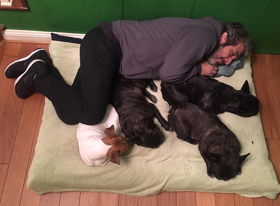 “Até à próxima, querido Ronko!”. Ator despede-se de animal de estimação com mensagem comovente