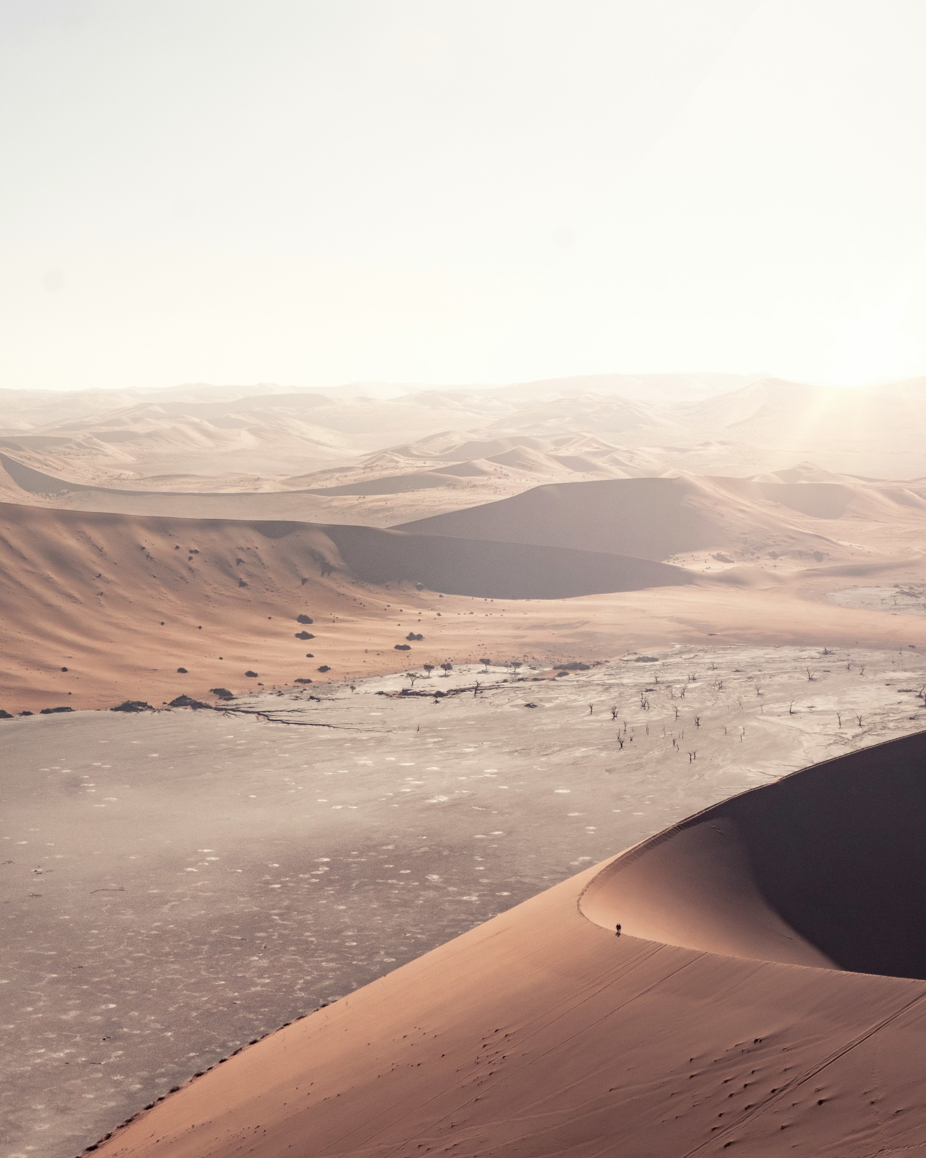 Duas portuguesas morrem em acidente de autocarro na Namíbia. Há mais portugueses feridos