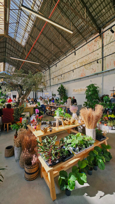 Este mercado noturno tem vinhos, cerâmicas, tatuagens vegan e roupa. Saiba quando o pode visitar