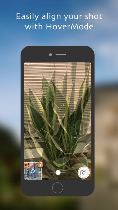 Quer passar o Natal em família? Nóbeis da Economia sugerem quarentena prévia