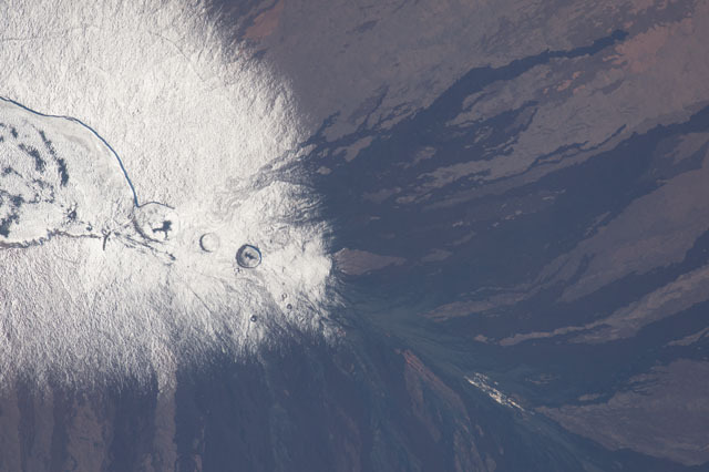 A história viral do médico judeu que tratou doente COVID com símbolos nazi