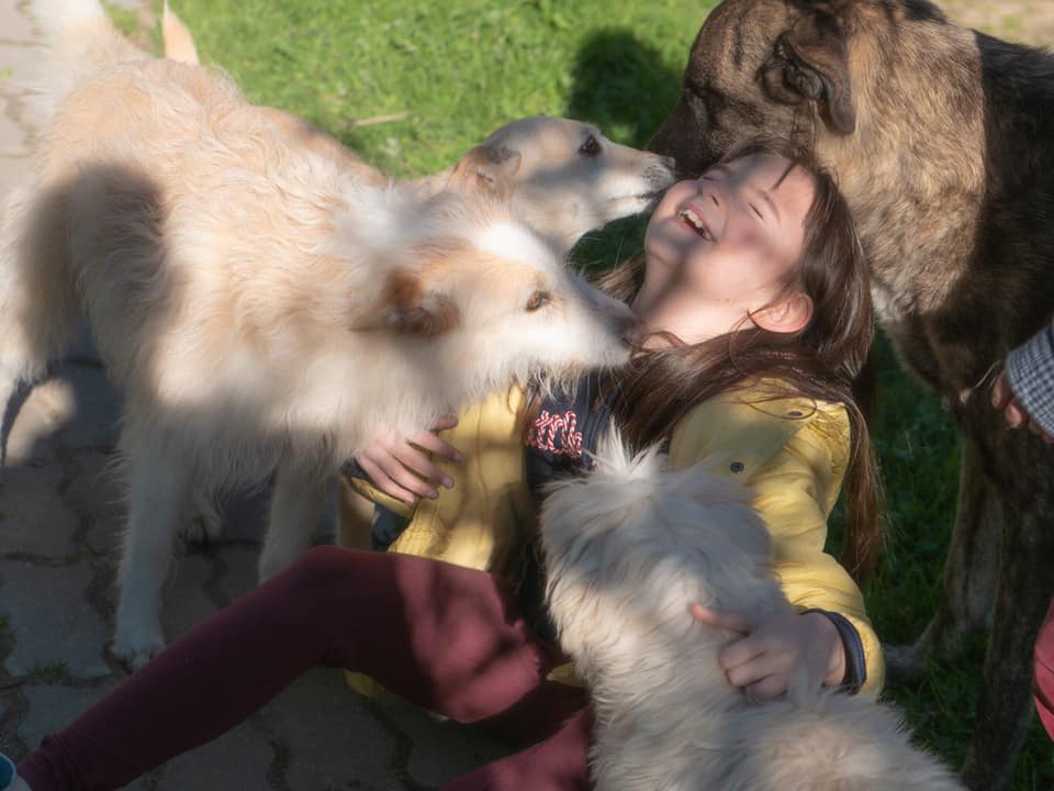 Há um santuário animal em Setúbal para animais resgatados das ruas e de explorações