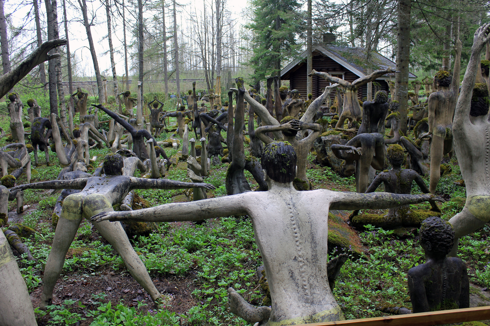 Ужасные сад. Мистический лес Савонлинна. Париккала Финляндия парк скульптур. Покайнский лес. Скульптуры под Савонлинной.