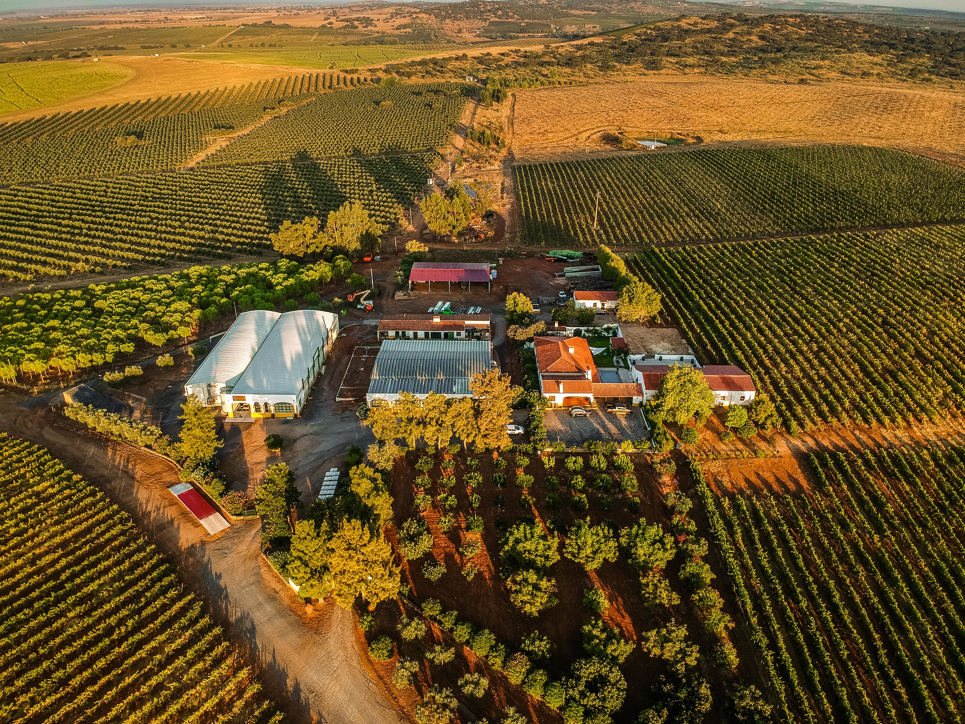 Este enoturismo homenageia a mulher alentejana através do vinho, do azeite e do legado