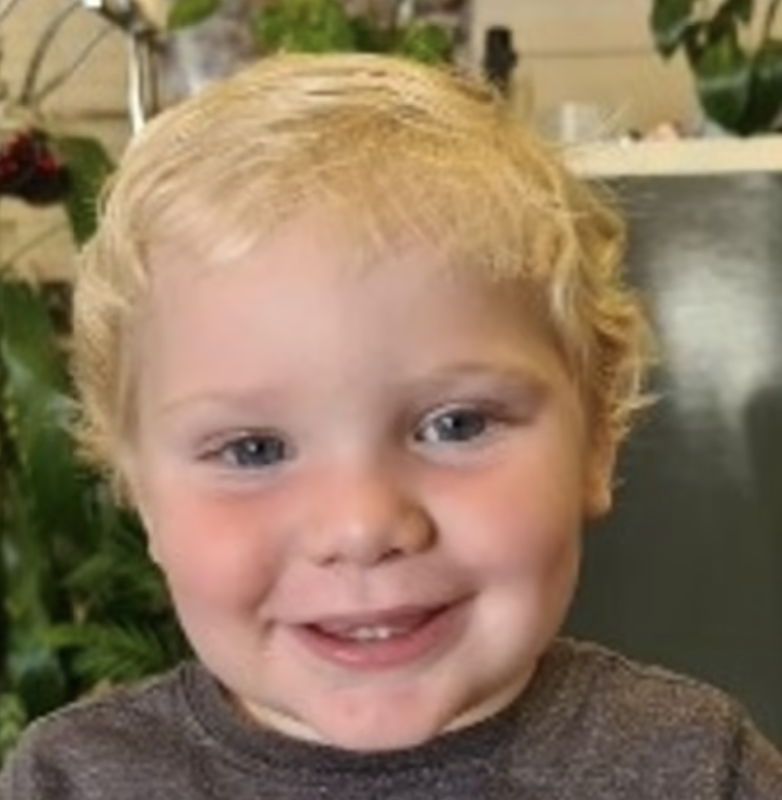 Menino de 2 anos raptado em plena luz do dia por casal. Polícia procura Volkswagen preto