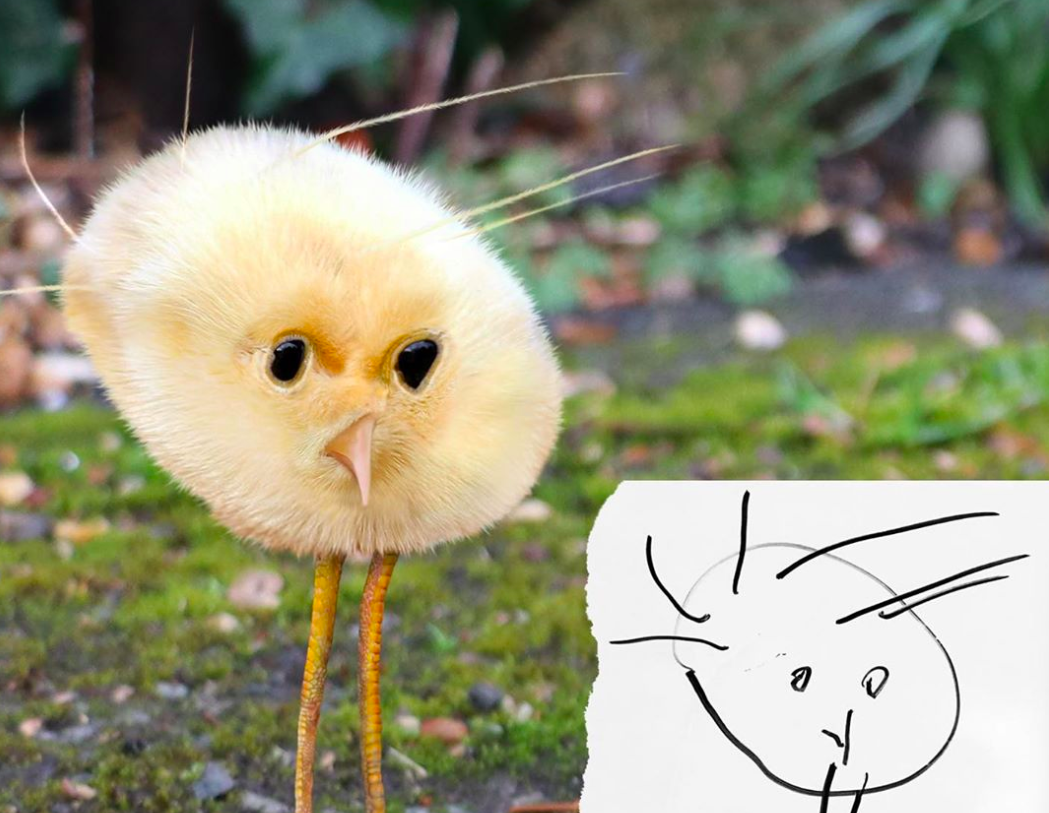 Este pai torna reais os animais imaginados e desenhados pelos filhos