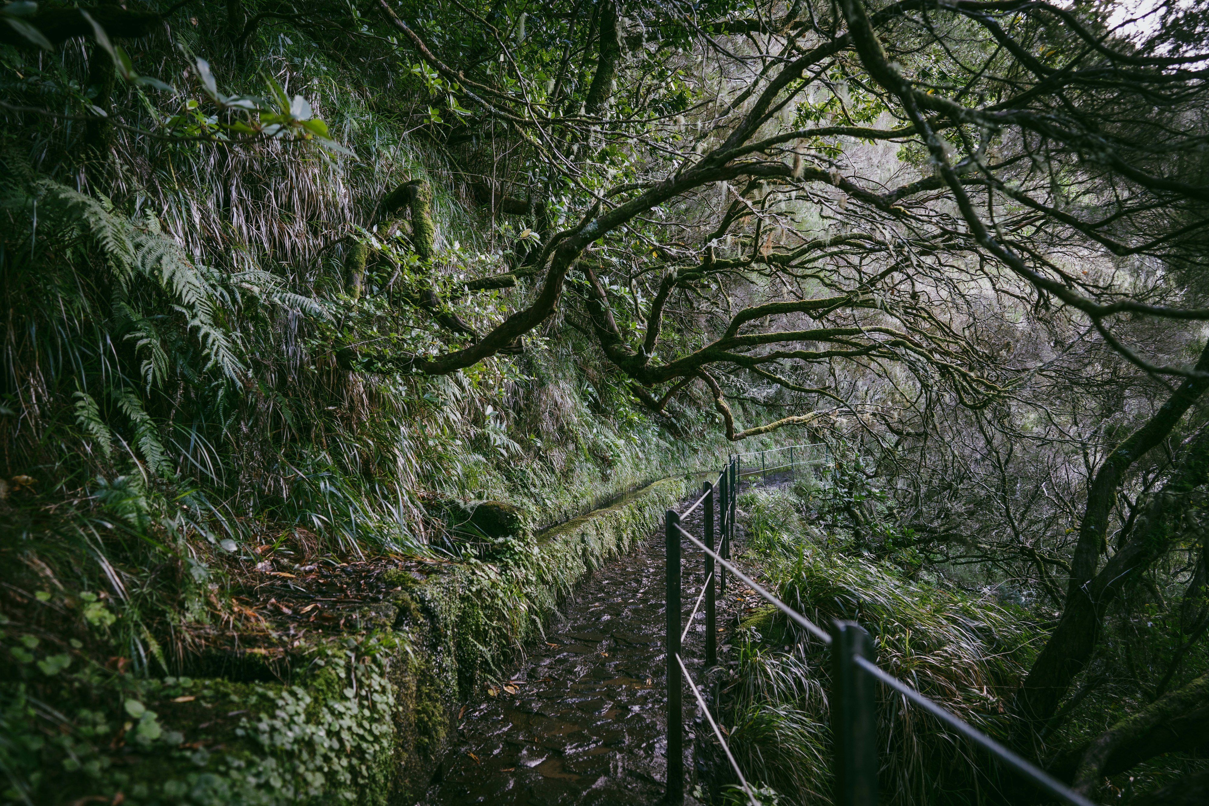 Encontrados os corpos dos turistas franceses que desapareceram em março na Madeira