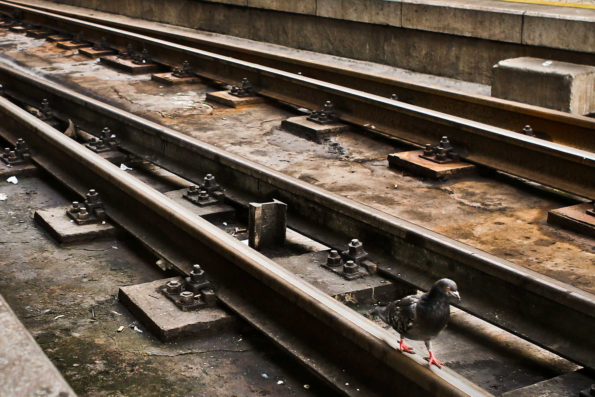 Atropelamento ferroviário mortal corta Linha do Minho em Valença