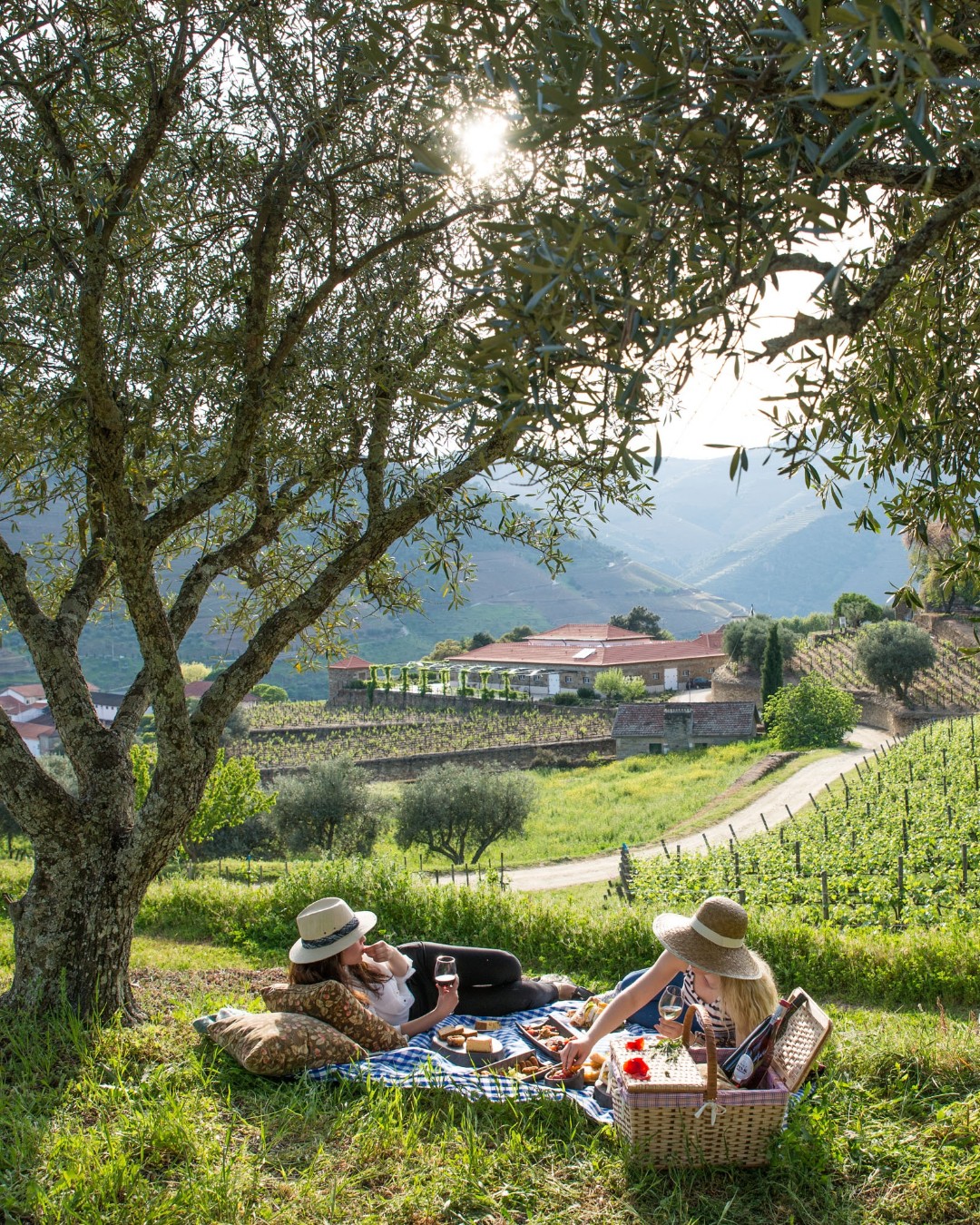 Piquenique na Quinta da Roêda