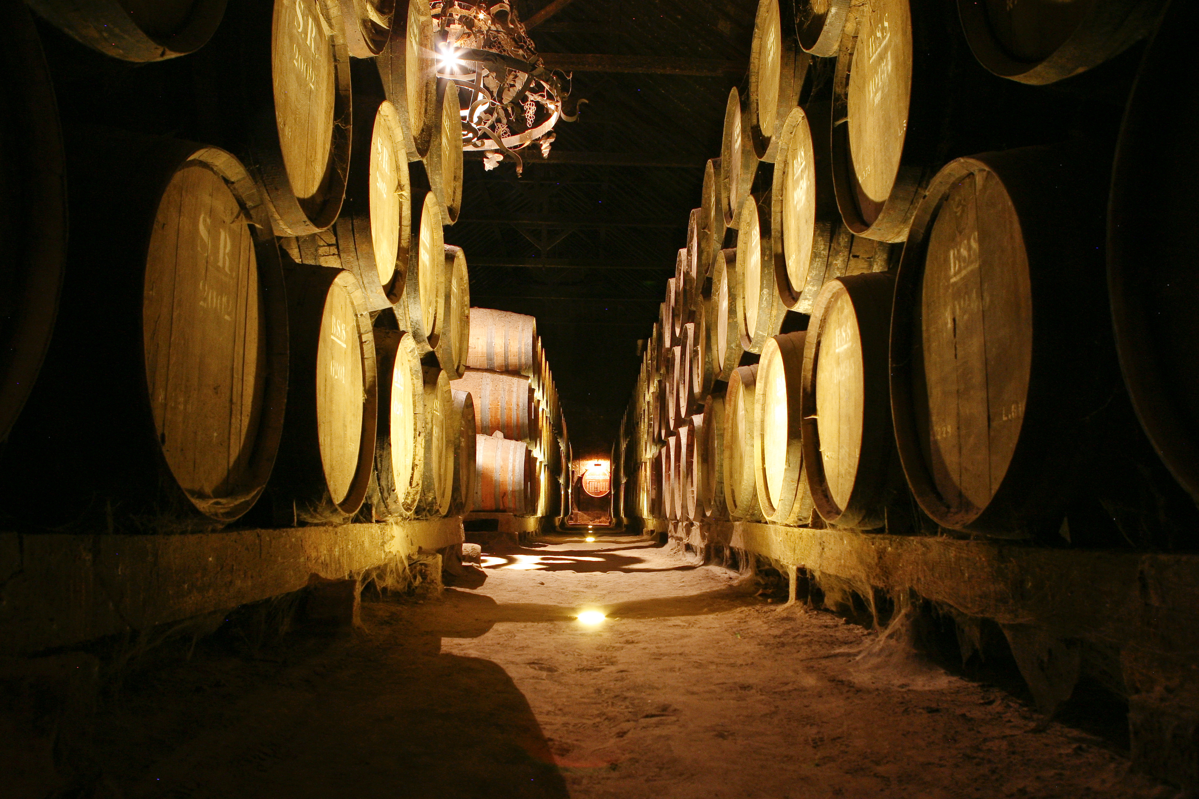 Vinho e chocolate: o match perfeito para os apaixonados celebrarem o amor em fevereiro