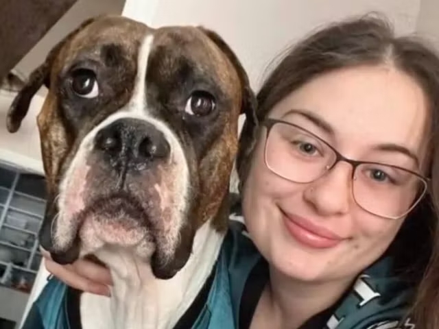 Cadela foge após acidente de carro, anda 17 dias perdida numa tempestade de neve, mas o final é incrível