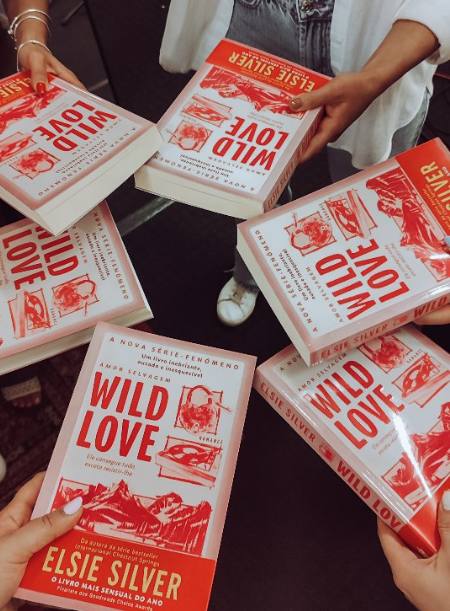 Um romance proibido, um pai solteiro e uma cidade que não se esquece. “Wild Love” já chegou às livrarias