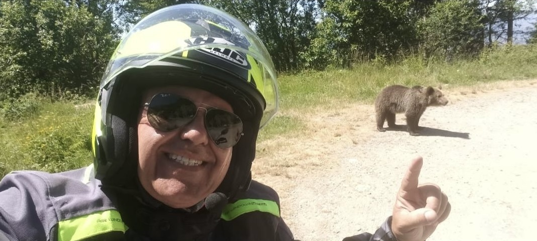 Homem morre depois de ser atacado por um urso enquanto andava de bicicleta