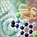 Concurso leva empreendedores portugueses para Silicon Valley