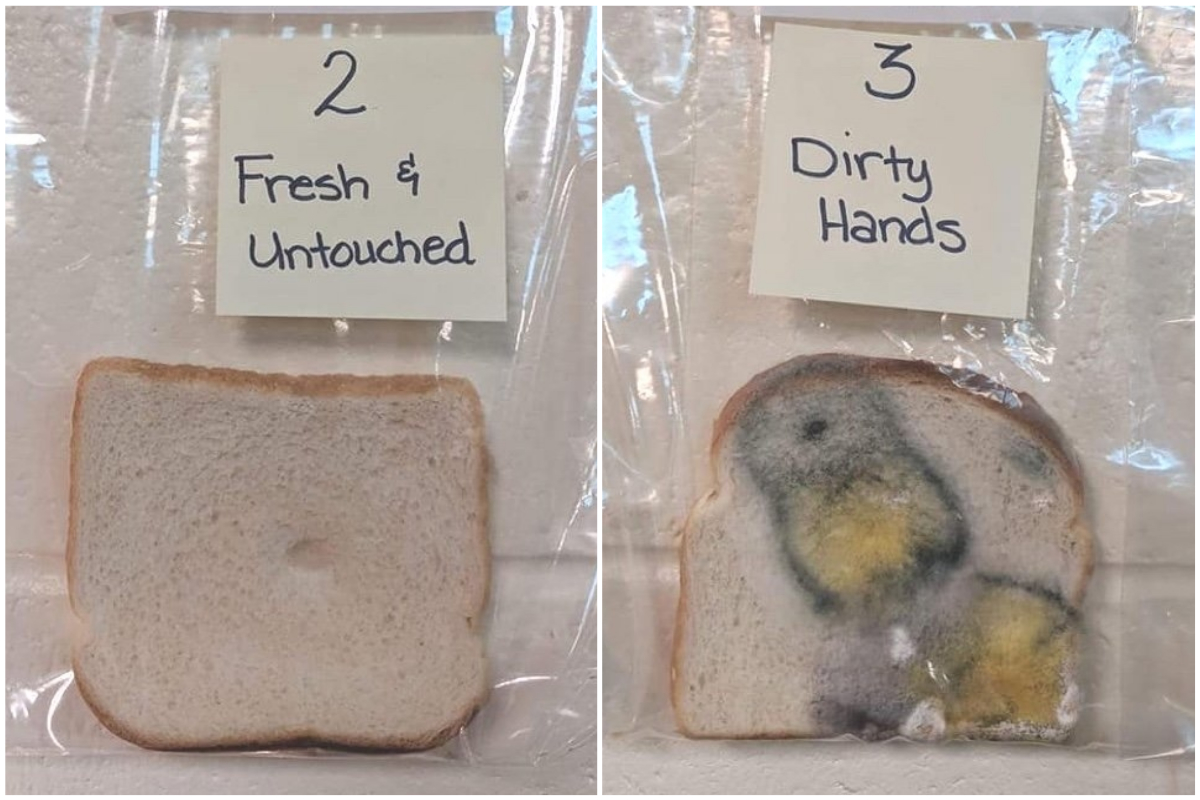 Professora faz experiência com alunos e mostra o que acontece à comida quando não lavamos as mãos