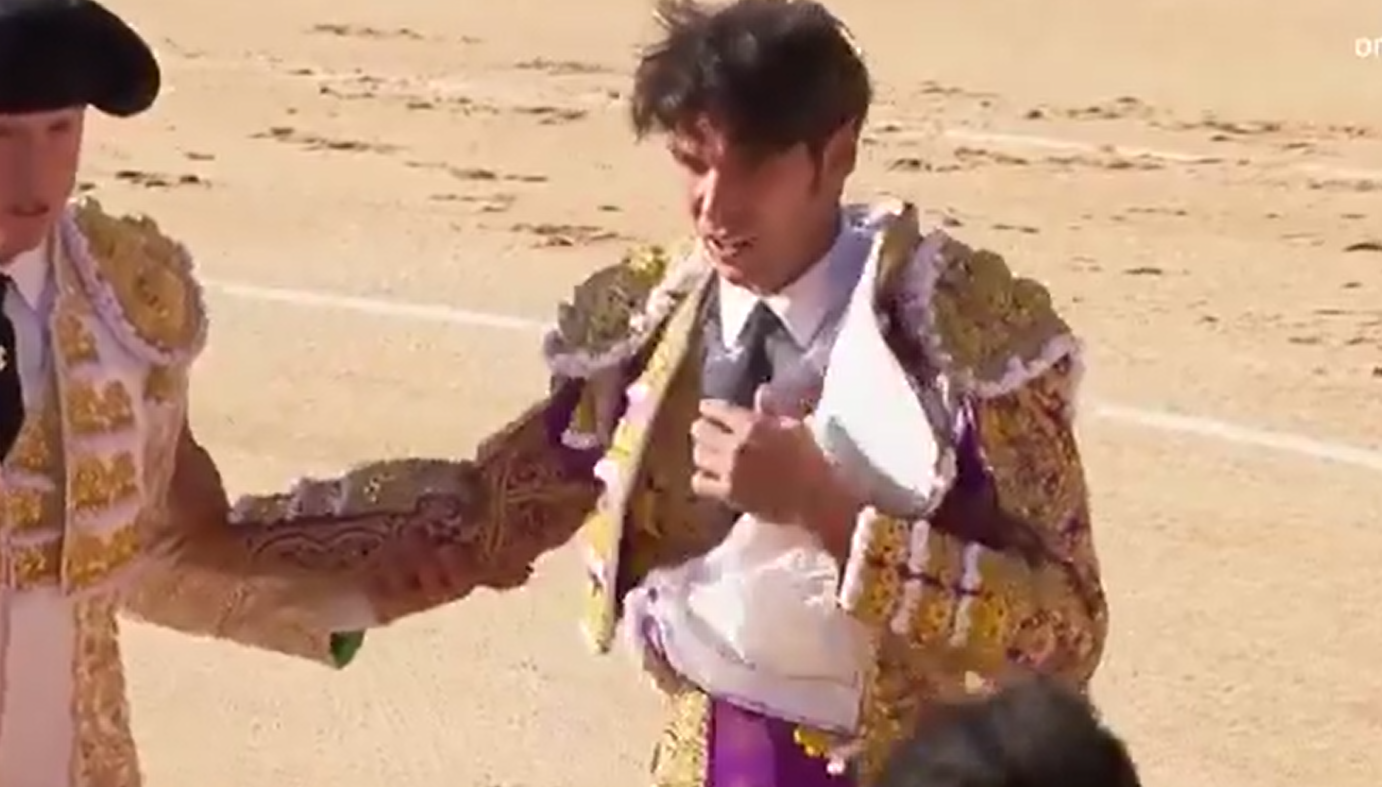 Namorado de Maria Cerqueira Gomes é colhido por touro e fica com “hematoma no escroto”