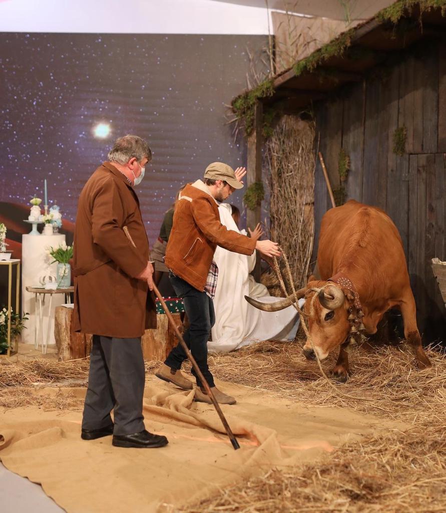 PAN e Sociedade Protectora dos Animais criticam “Noite de Cristina”. “Podia ter corrido muito mal”