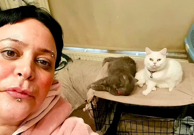 Esta mulher só come uma vez por semana para ter dinheiro para alimentar os 6 gatos. “Não é justo abandoná-los”