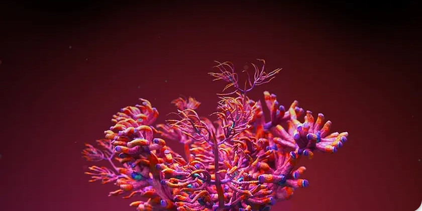 Influenciadora brasileira e surfista português confirmam separação. “Já não funcionávamos mais como casal”