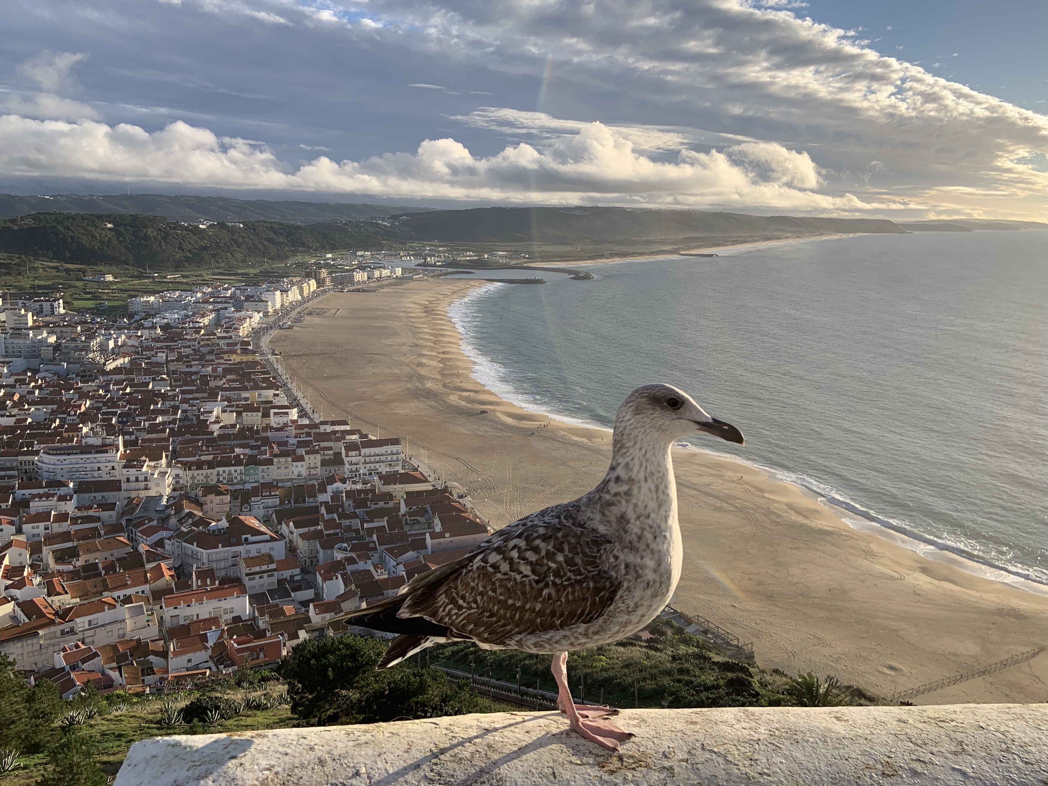 Conhecemos a Nazaré além das ondas gigantes. Saiba onde ficar alojado e o que não pode perder na vila