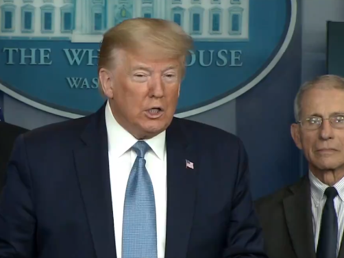 Criada onda de fake news para descredibilizar o médico da Casa Branca que tem feito frente a Trump