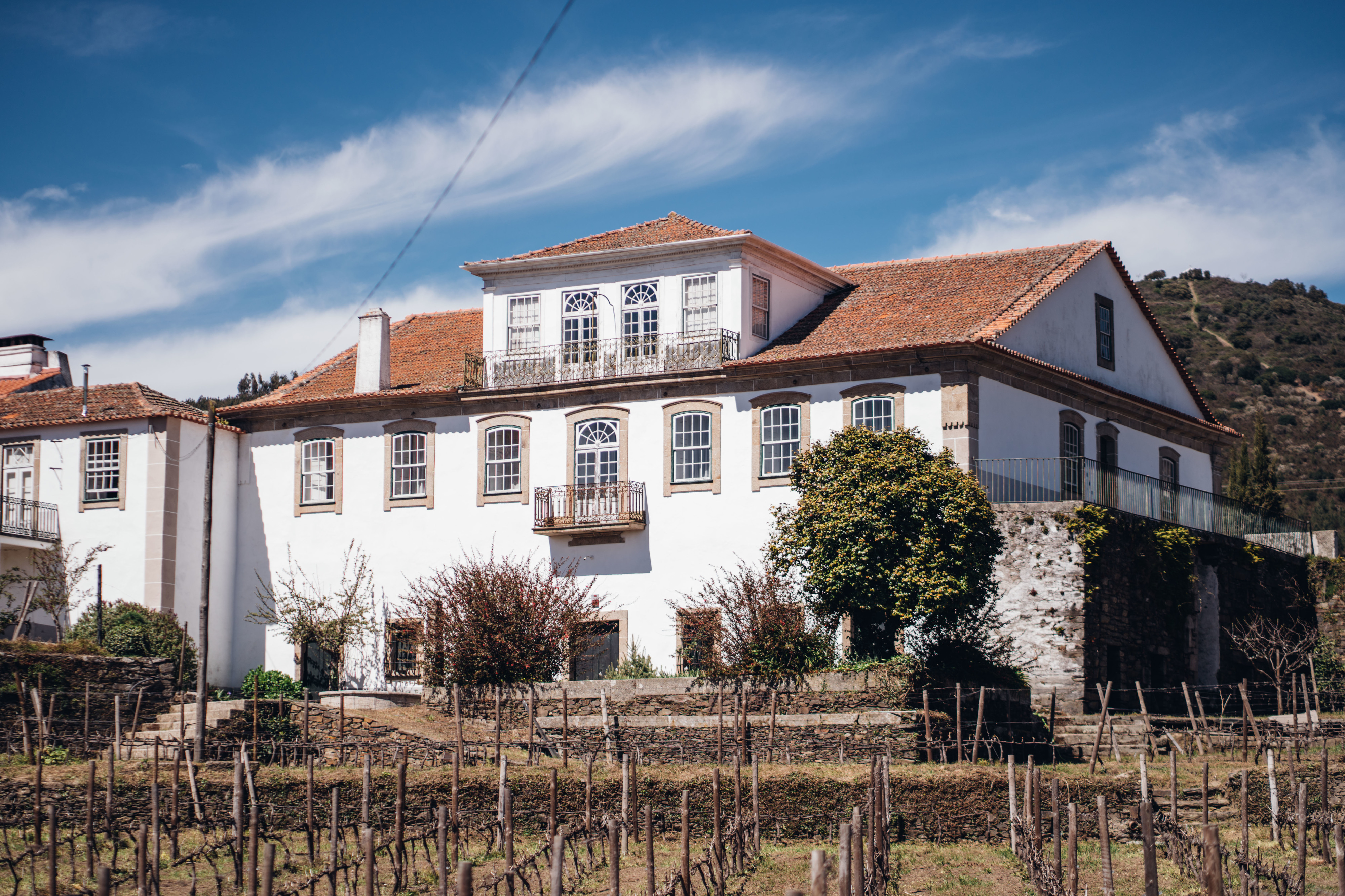 Casa do Santo. O novo projeto de agroturismo no Douro, rodeado de vinhas, onde vai querer passar férias