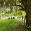 Vivenda com um jardim paradisíaco