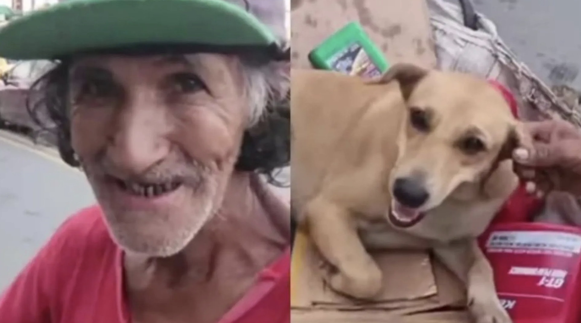 Sem-abrigo recusa 100 dólares pela sua cadela. “O dinheiro não me dá carinho nem me faz companhia”