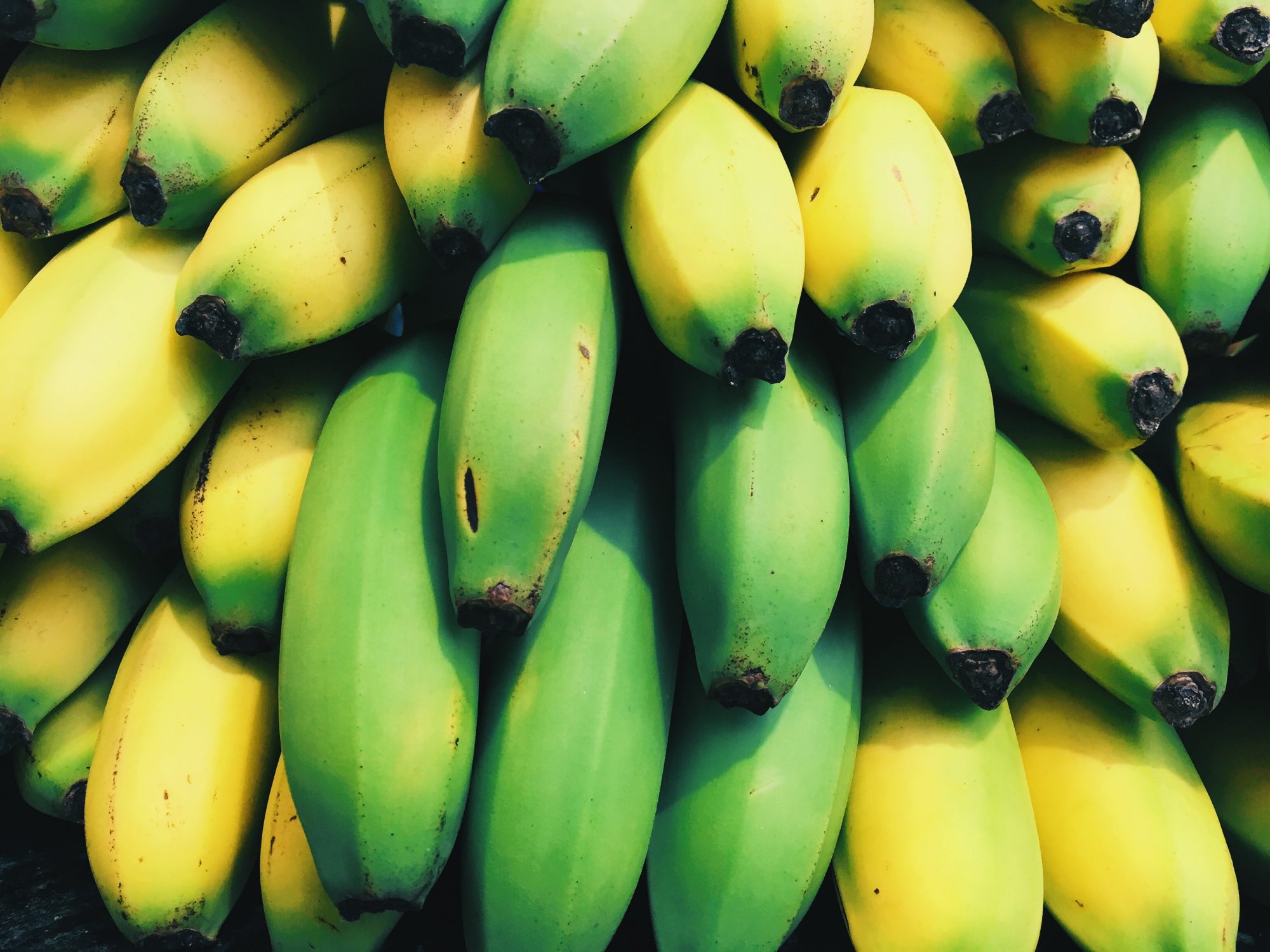 Comer banana madura é muito diferente de a comer verde. Nutricionista explica porquê