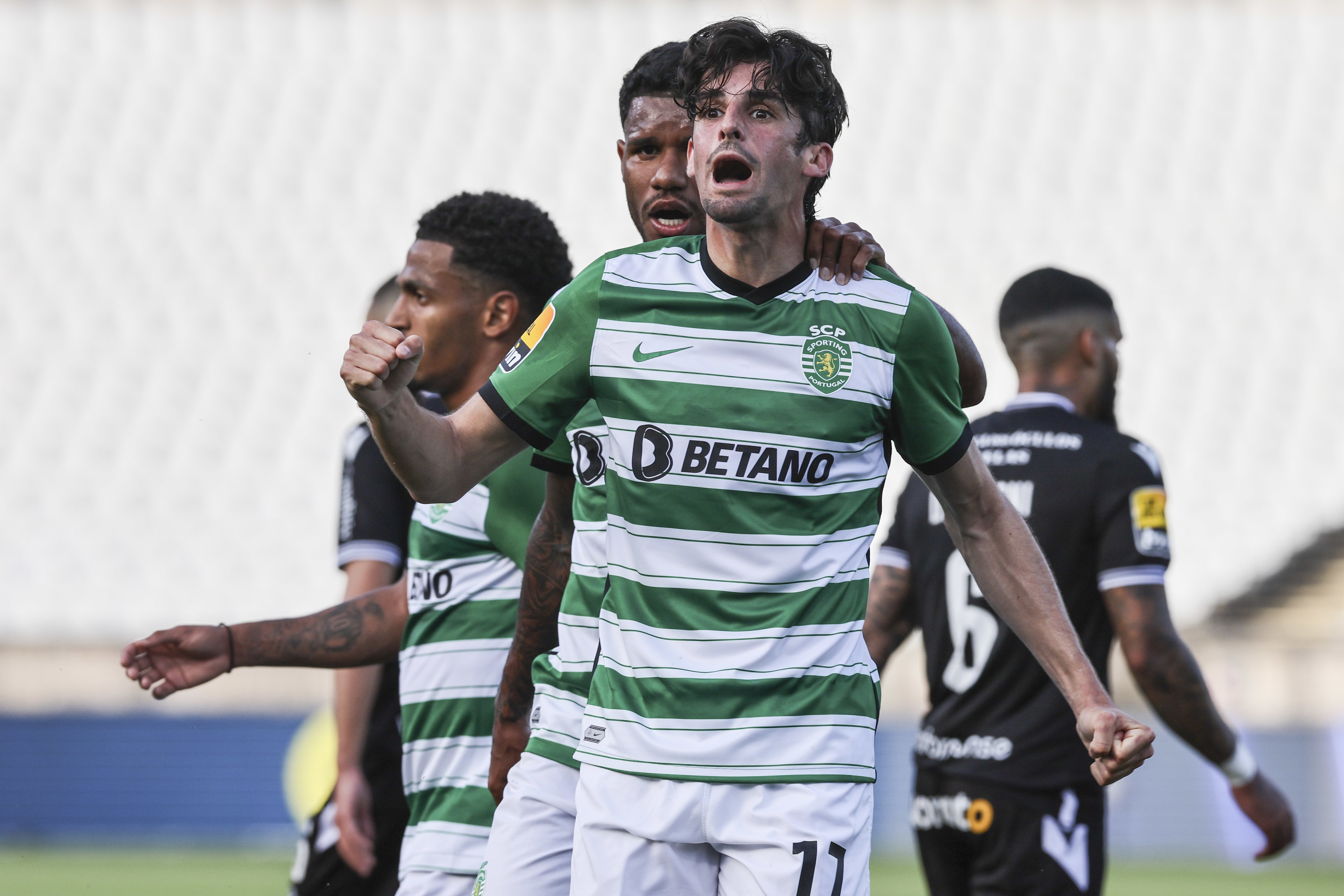 Sporting campeão: O nascimento casapiano do obstinado treinador Rúben  Amorim - Desporto - Jornal de Negócios