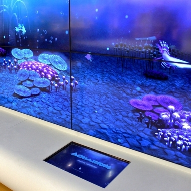 “As Casas Mais Extraordinárias do Mundo”. Há dois arquitetos portugueses nesta série da Netflix