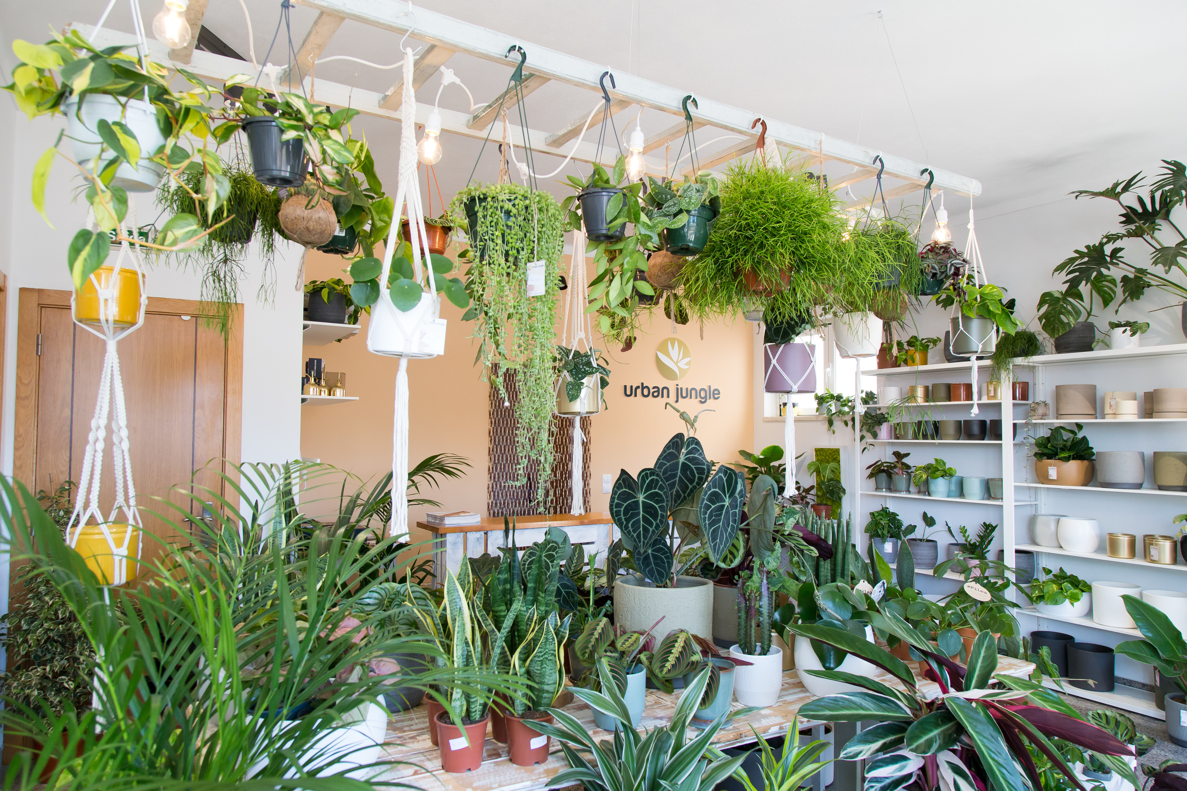 Alerta, fãs de plantas. A Urban Jungle já abriu a primeira loja física