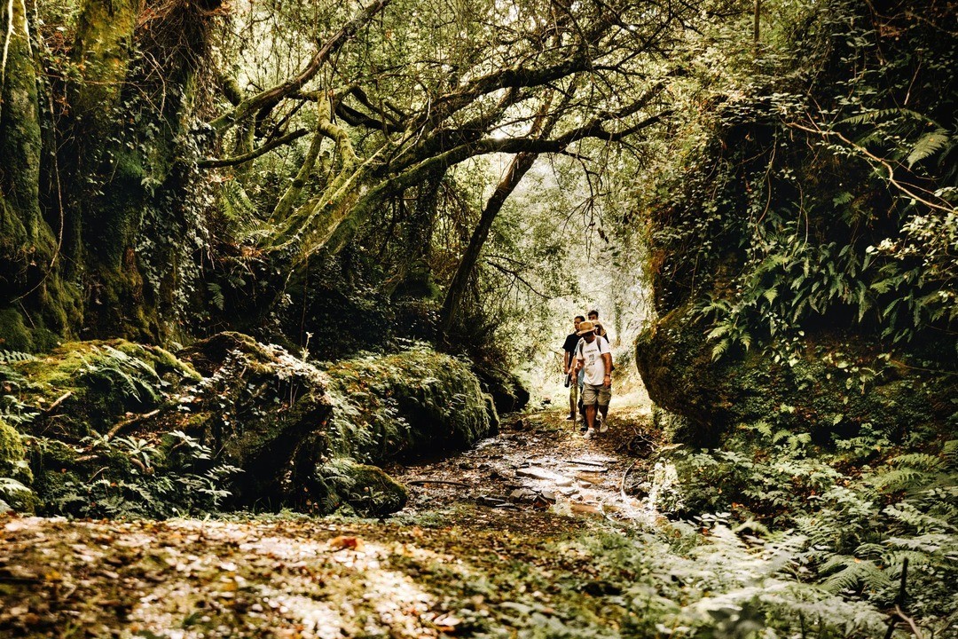 Há duas novas razões para visitar Marco de Canaveses — uma inclui uma cascata deslumbrante