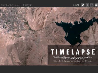 H&M e Moschino lançam coleção de roupa para cães