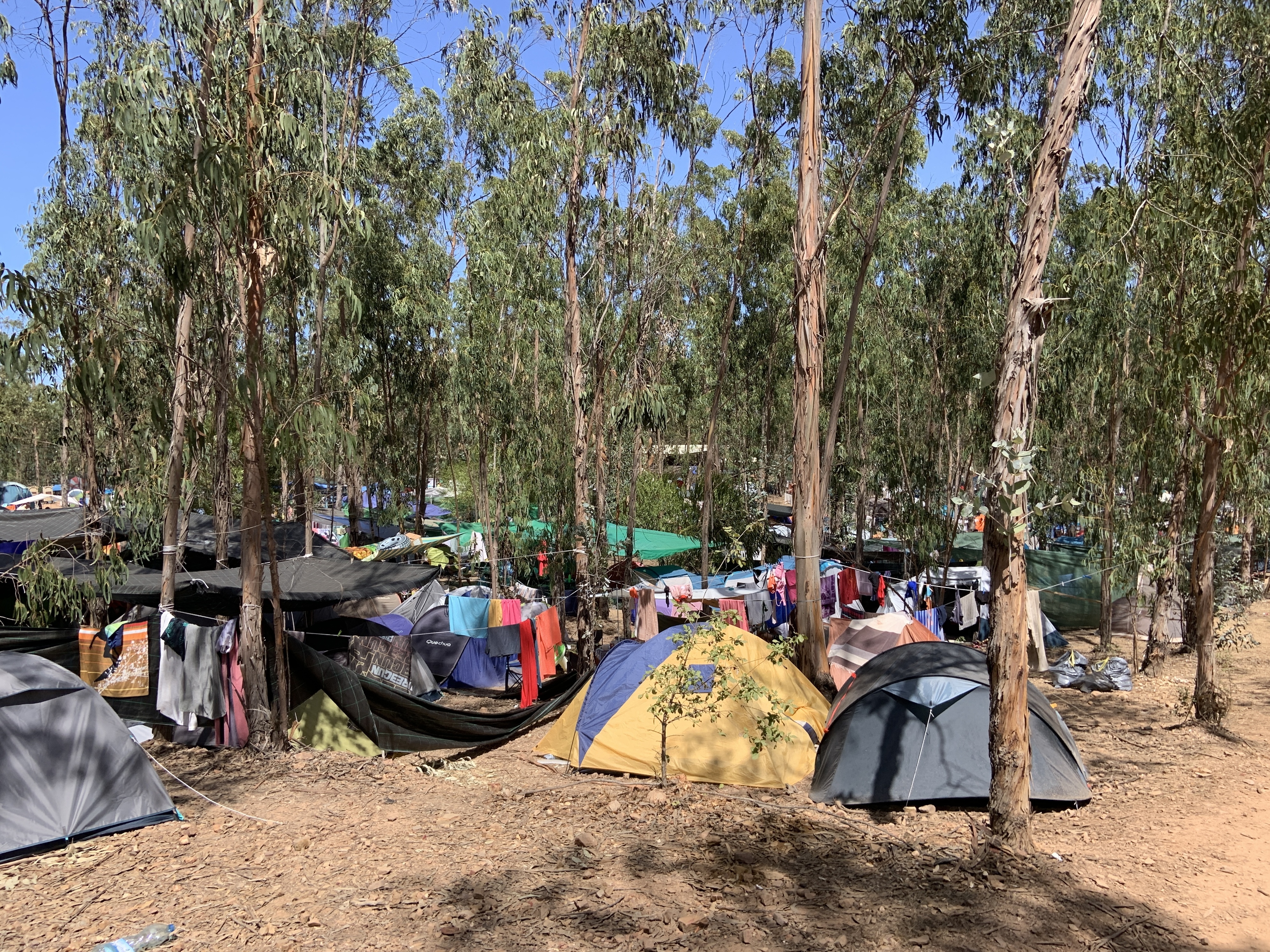 Banhos de água fria, “Ó Elsa” e silêncio inexistente. Como é acampar no MEO Sudoeste?