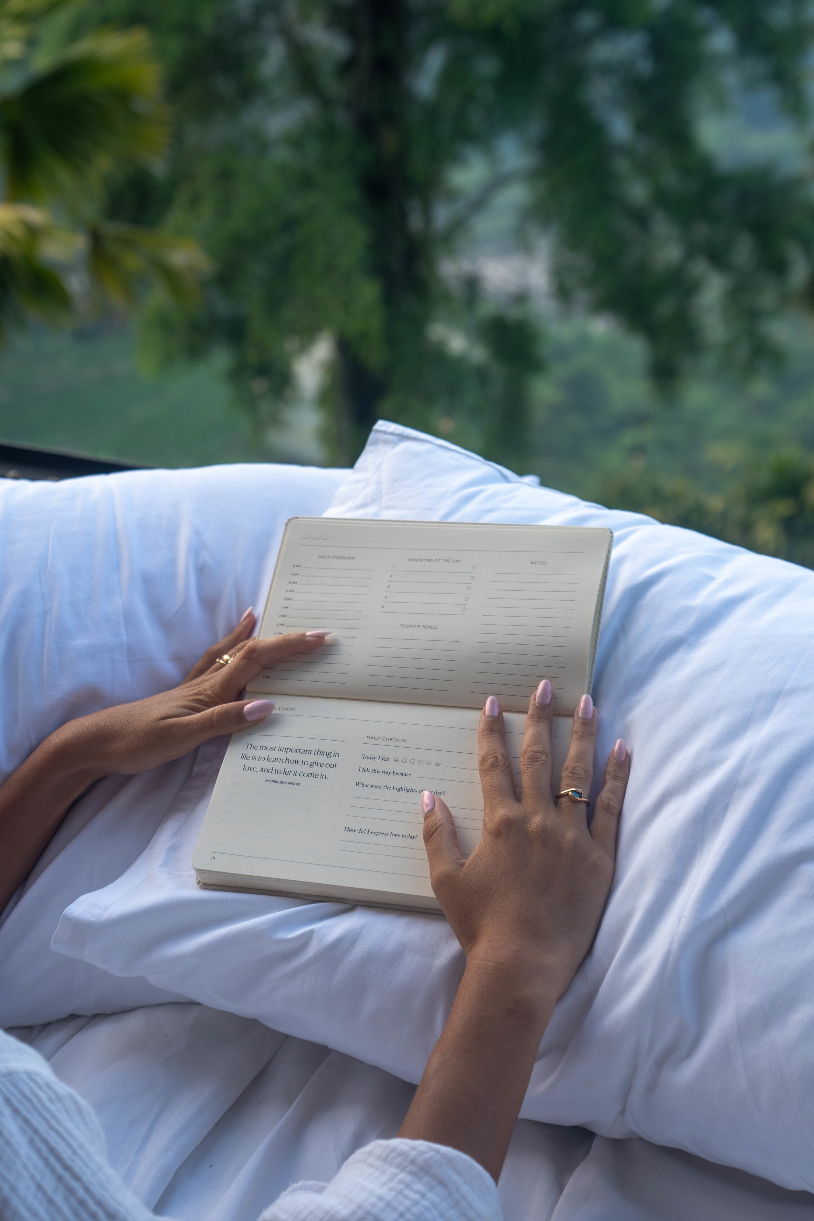 Explorerssaurus lançam uma agenda – e o objetivo não é apenas pôr a sua vida nos eixos