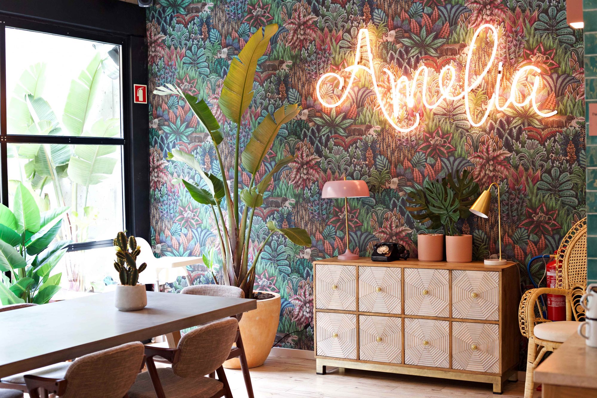 Amélia. A namorada da cafetaria Nicolau também tem brunch todos os dias em Lisboa