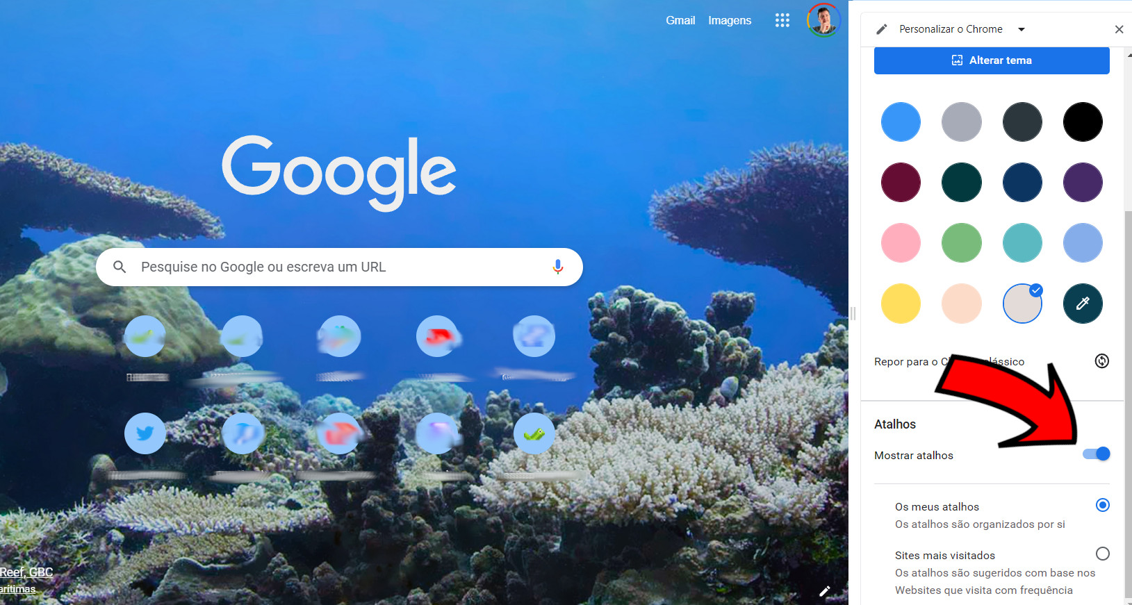 Transforme o Google Chrome com as suas cores preferidas - Internet - SAPO  Tek