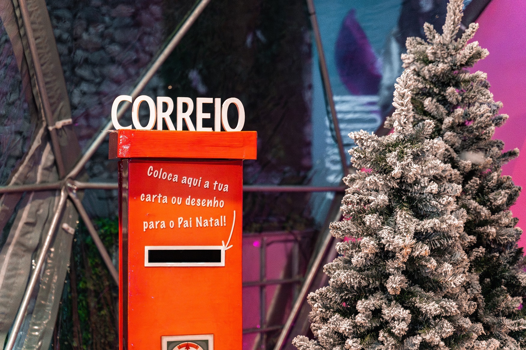 Do iglu do Pai Natal ao carrossel sustentável. Veja as fotos do Natal iluminado e colorido em Coimbra