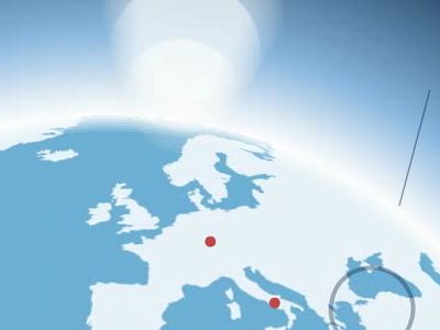 Mais de mil golfinhos com “níveis extremos de mutilação” dão à costa em França