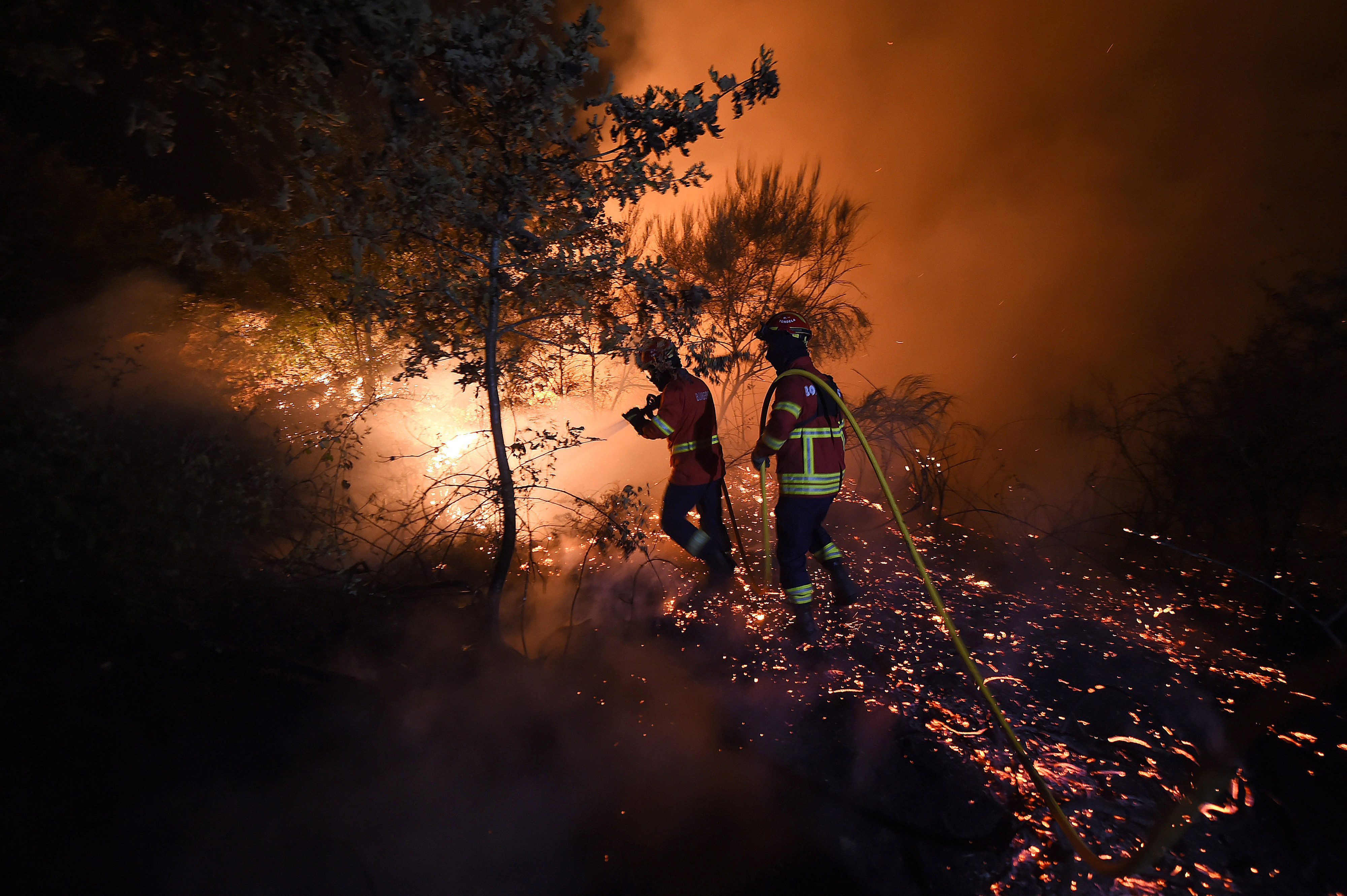 Google usa inteligência artificial para monitorizar incêndios florestais e melhorar alertas em Portugal e mais 14 países