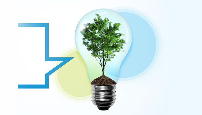 Consórcio português investe mais de 100 ME em projeto de hidrogénio verde na região centro