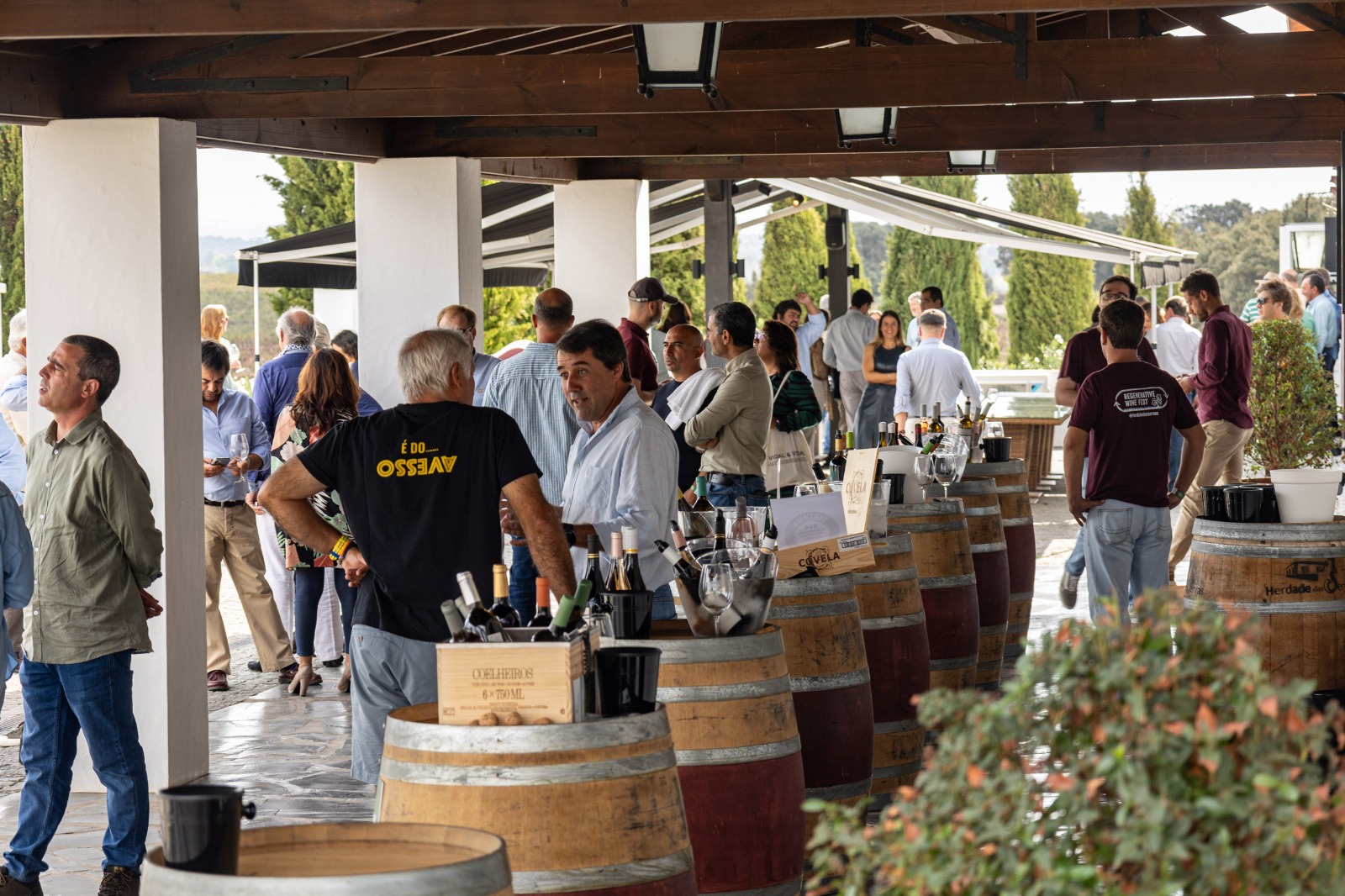 Regenerative Wine Fest regressa ao Alentejo para debater práticas de viticultura sustentável