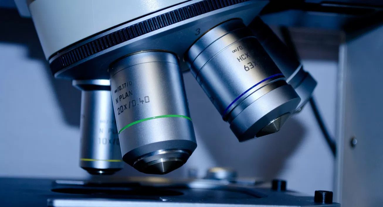 #TuPodes. 50% de desconto em experiências turísticas e gastronómicas com iniciativa do Turismo de Portugal