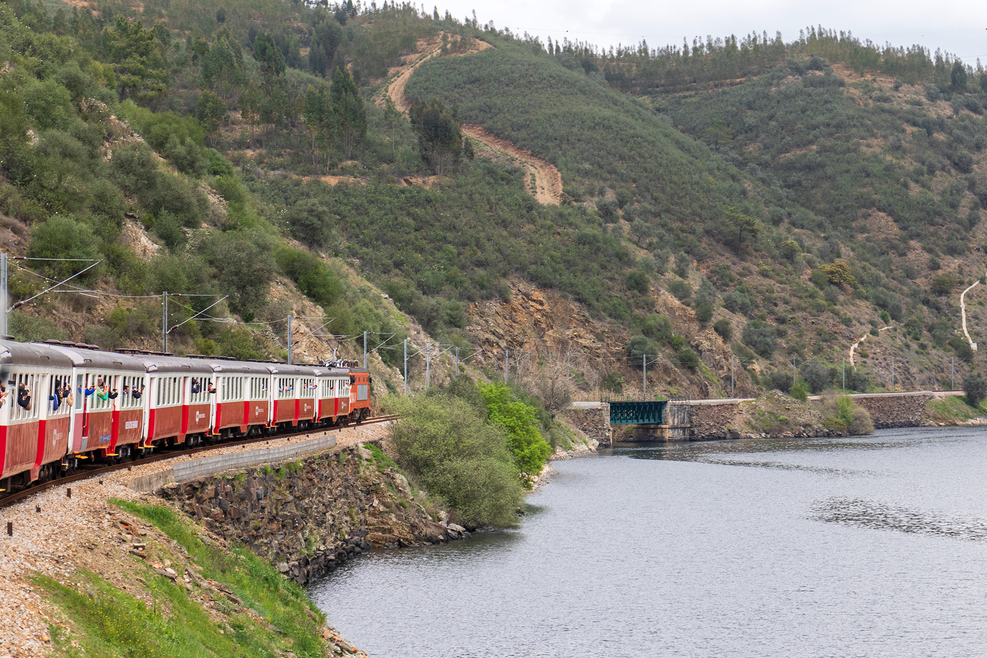 A CP tem uma viagem panorâmica pelo Tejo e só um dia para a fazer. Saiba quando