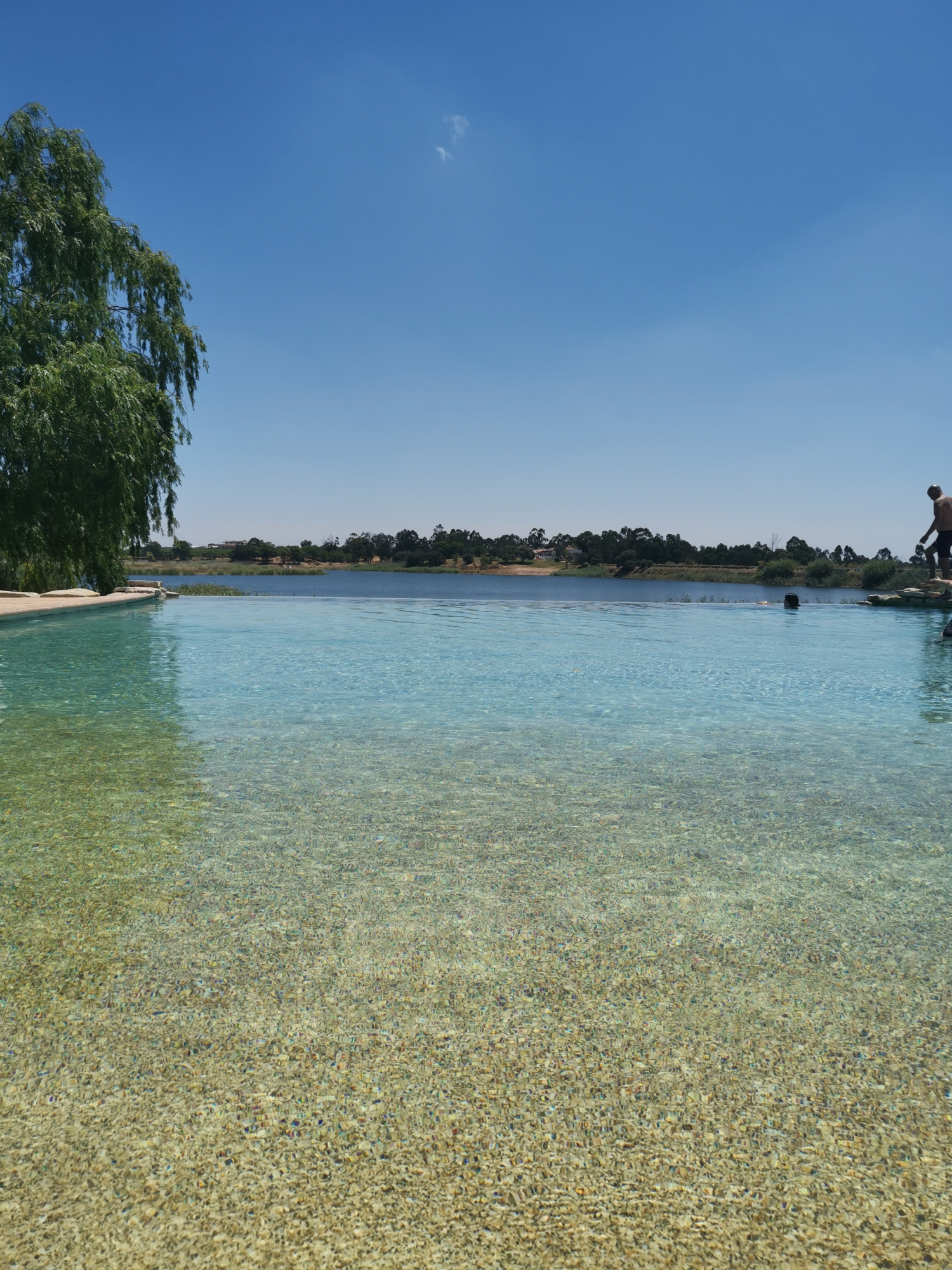 Crítica. Na Herdade dos Grous a arte de não fazer nada é fácil